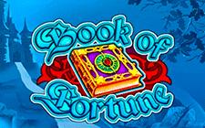 Игровой автомат Book of Fortune