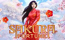 Игровой автомат Sakura Fortune