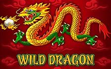 Игровой автомат Wild Dragon