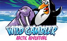 Игровой автомат Wild Adventure