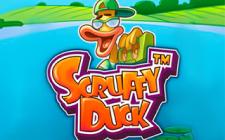 Игровой автомат Scruffy Duck